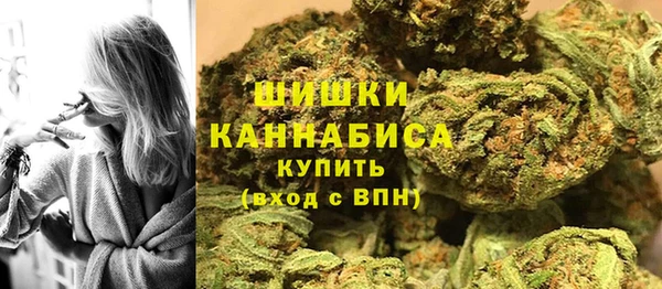spice Верея