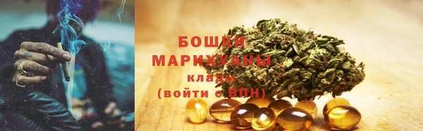 spice Верея