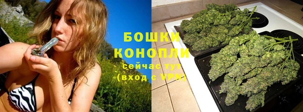 СК Волосово