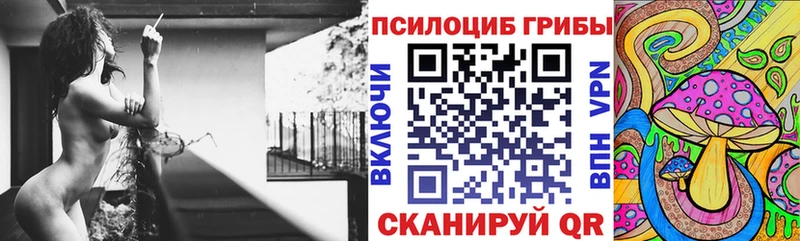 закладка Камбарка Псилоцибиновые грибы прущие грибы